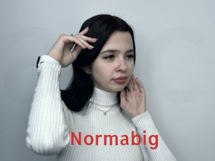 normabig Archive DVD NET