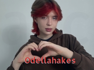 Odellahakes
