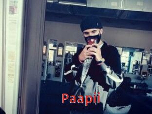 Paapii Archive DVD NET