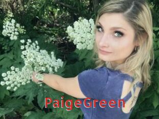 PaigeGreen Archive DVD NET