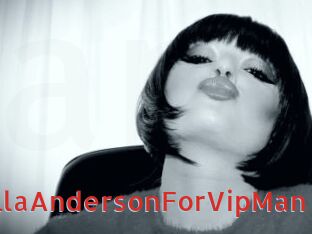 PamellaAndersonForVipMan