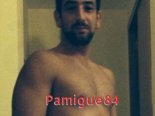 Pamigue84