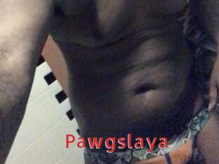 Pawgslaya
