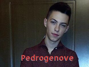 Pedrogenove