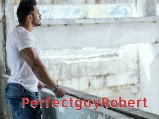PerfectguyRobert
