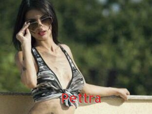 Pettra Archive DVD NET