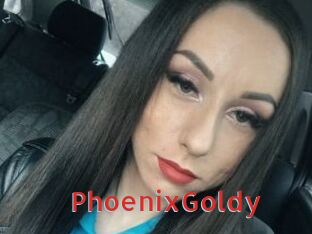 PhoenixGoldy Archive DVD NET