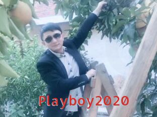 Playboy2020