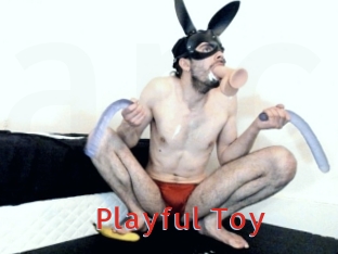 Playful_Toy