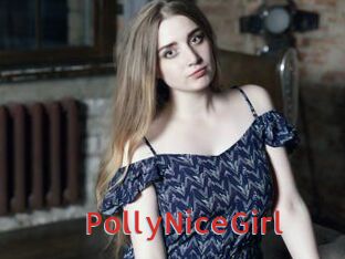 PollyNiceGirl Archive DVD NET