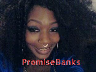 PromiseBanks Archive DVD NET