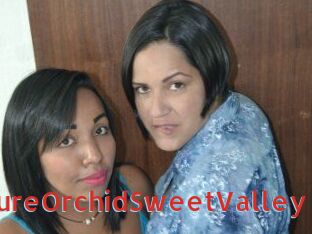 PureOrchidS_weetValley
