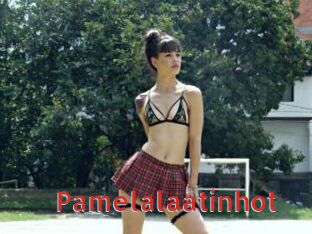Pamelalaatinhot