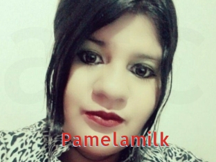 pamelasuite Archive DVD NET