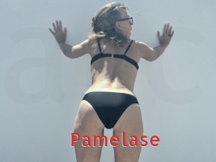 pamelase Archive DVD NET
