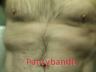 Pantybandit