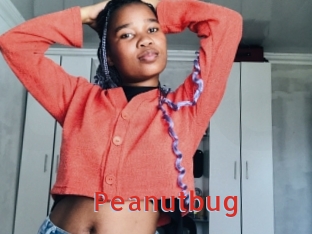 Peanutbug