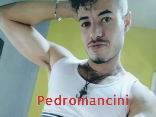 Pedromancini