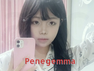 Penegemma