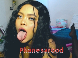 Phanesarood