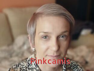 pinkcamis Archive DVD NET