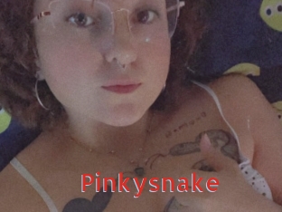 Pinkysnake