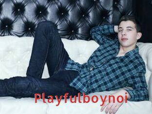 Playfulboynoi