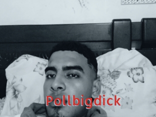 Pollbigdick