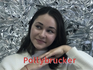 Pollybrucker