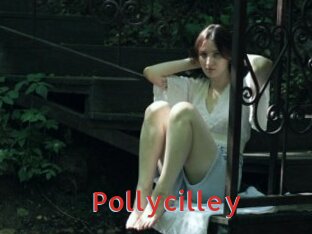 Pollycilley