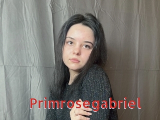 Primrosegabriel