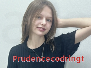 Prudencecodringt