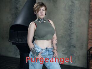 Purgeangel