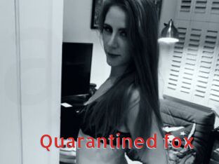 Quarantined_fox