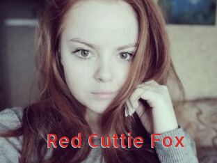 Red_Cuttie_Fox