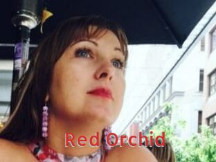 Red_Orchid