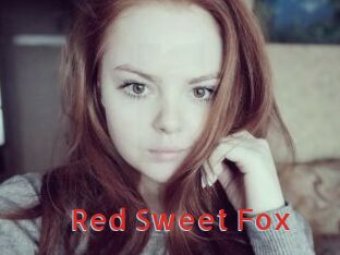 Red_Sweet_Fox