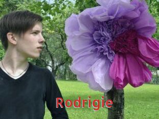 Rodrigie