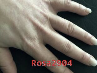 Rosa2904