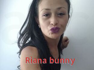 riana_bunny Archive DVD NET