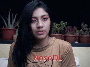 roseDL Archive DVD NET