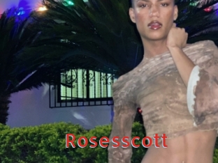 Rosesscott