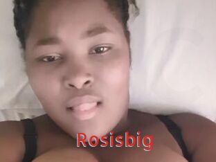 Rosisbig