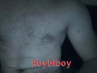 Roybiboy