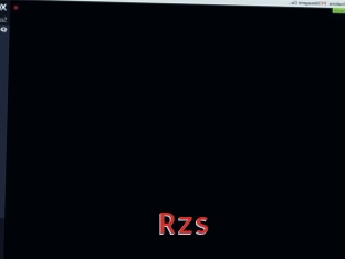 Rzs