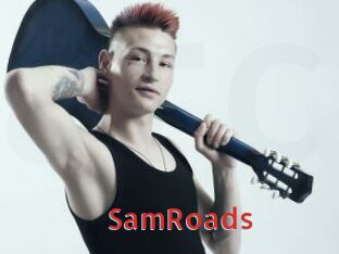 SamRoads