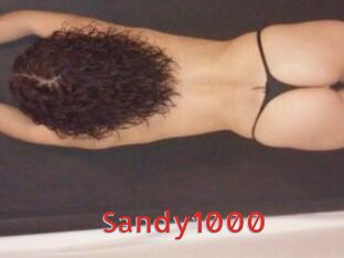 Sandy1000