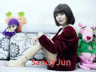 SandyJun