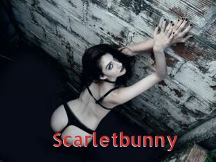 Scarletbunny