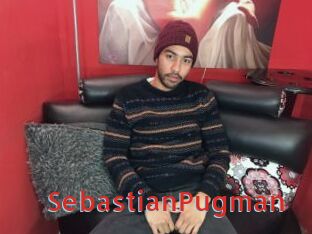 SebastianPugman Archive DVD NET